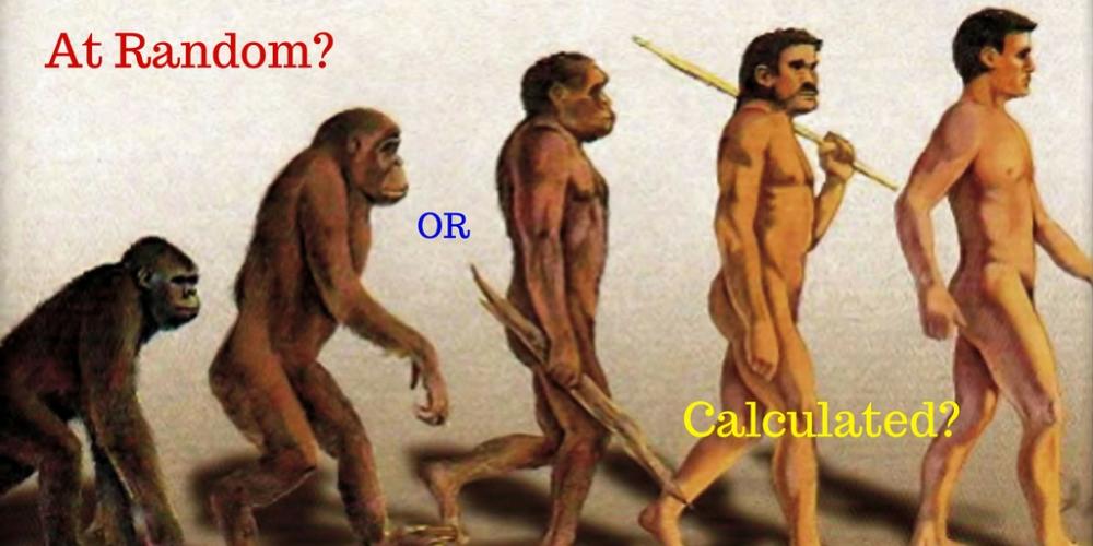 Evolution and Diseases1